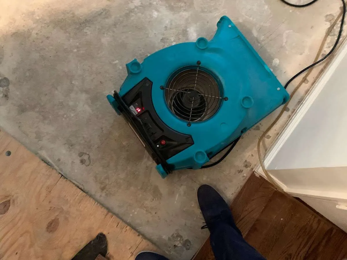 Air mover drying subfloor during Commercial Water Damage Restoration in Middlesex